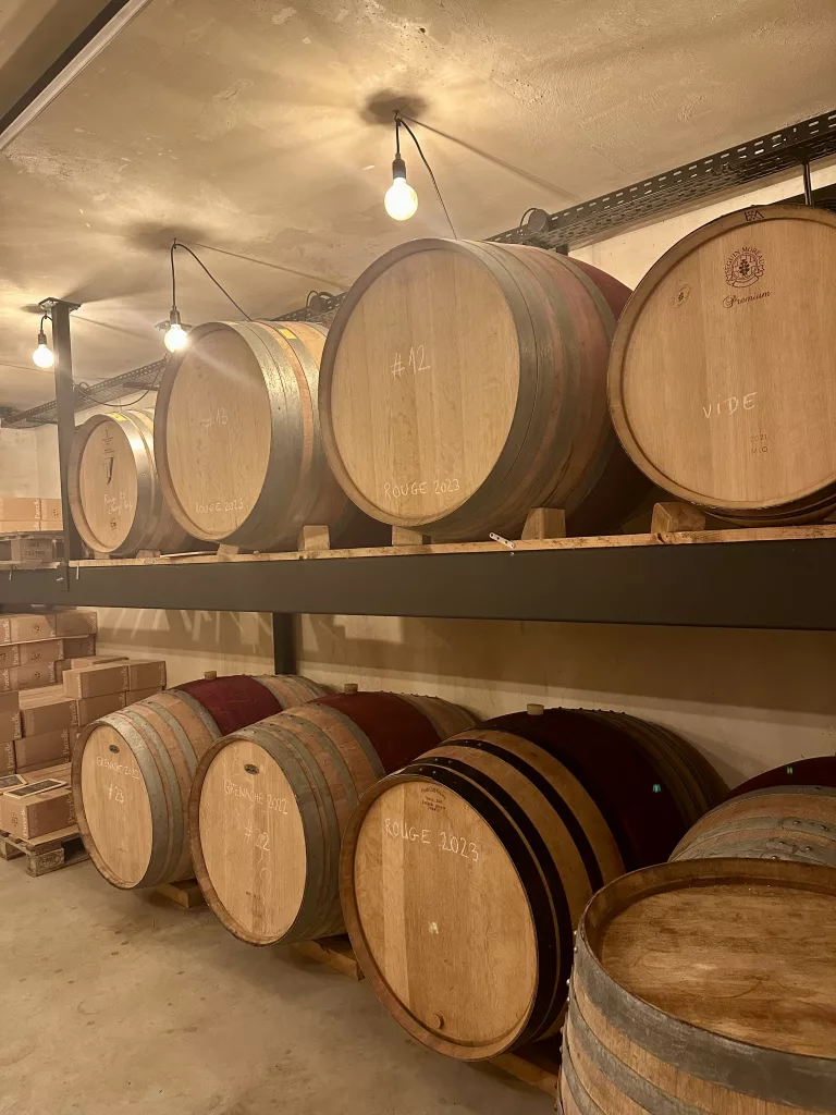 Cave - Tonneaux de vin